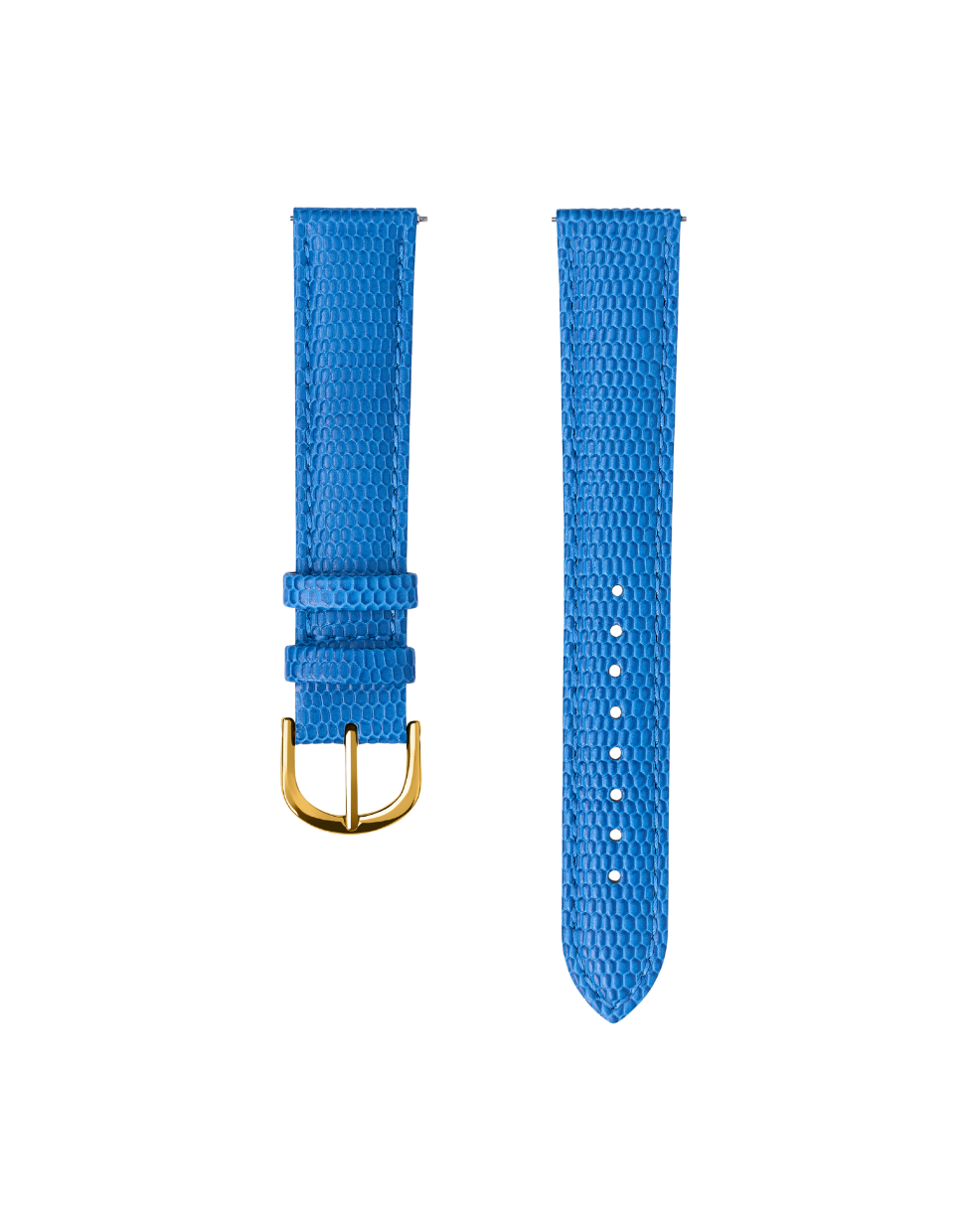 The Blue Lizard