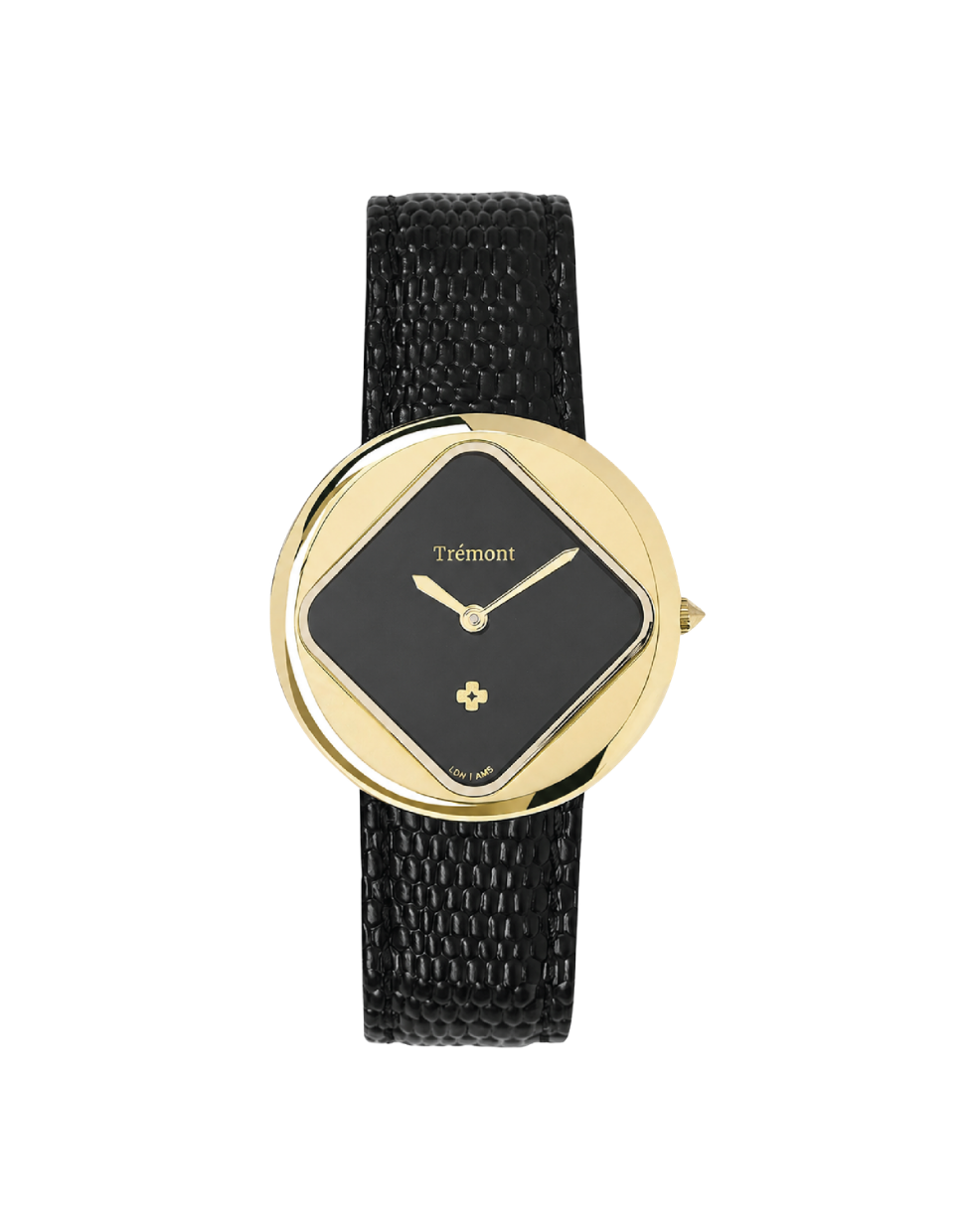 Gold and black watch with 'Tiemont' branding on a white background